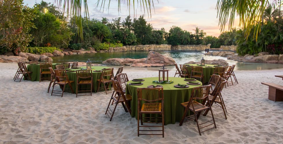 event style stable in the sand at Discovery Cove