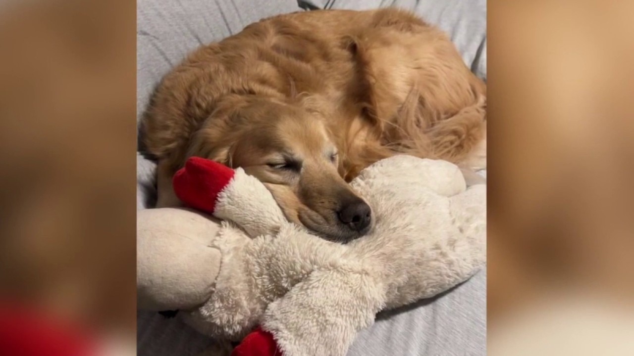 Running the distance for Dax