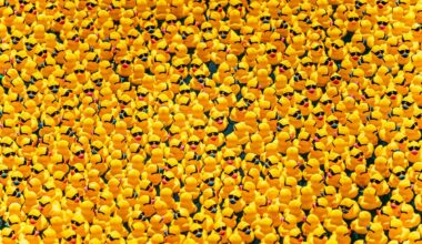45,000 Rubber Ducks Are Making A Splash In Fort Lauderdale This Weekend For A Charitable River Race