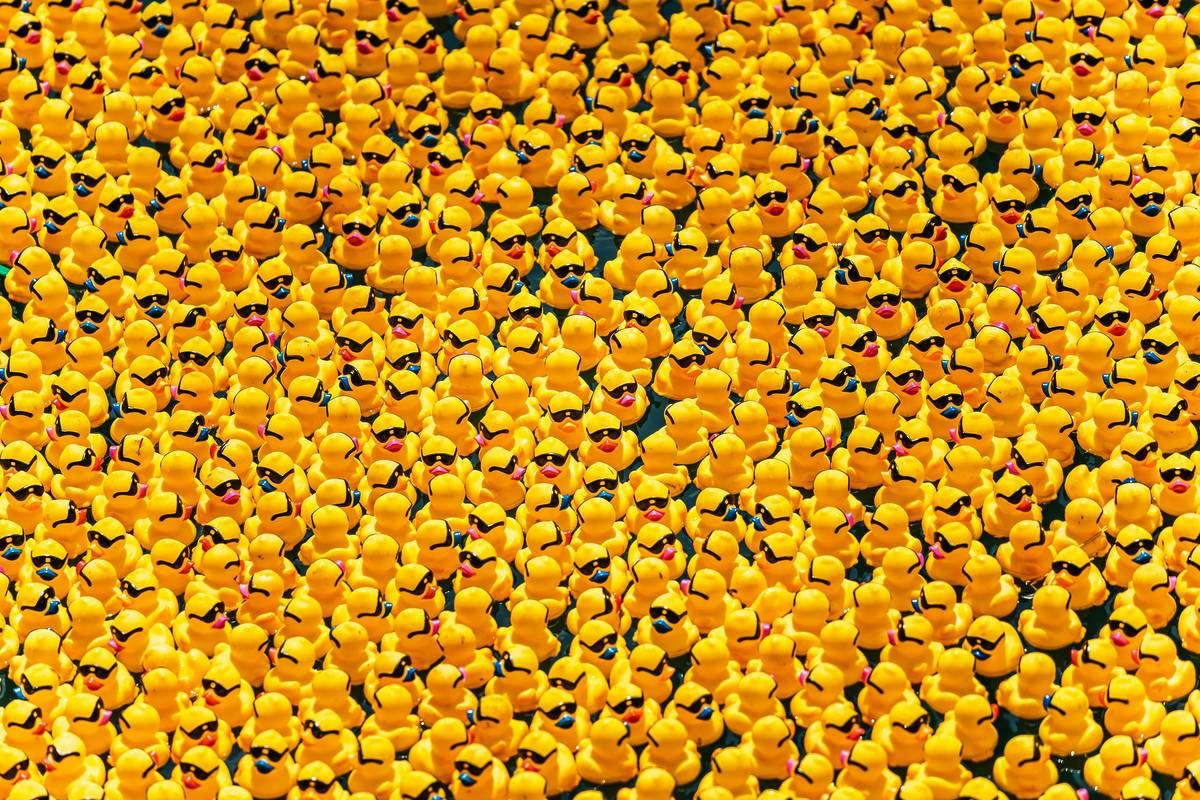45,000 Rubber Ducks Are Making A Splash In Fort Lauderdale This Weekend For A Charitable River Race