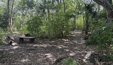 FIU’s Spiritual Beings Club finds calm before finals