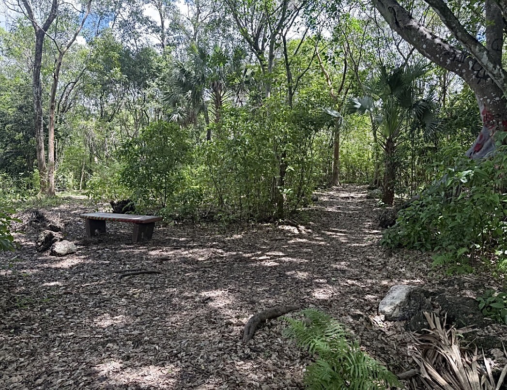 FIU’s Spiritual Beings Club finds calm before finals