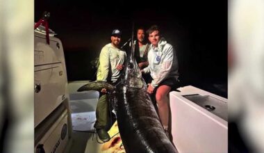 Florida vacation nets York County family a 480-pound swordfish