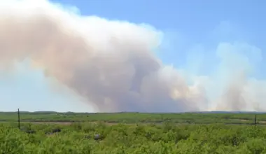 Fire danger expands across much of the Florida Peninsula