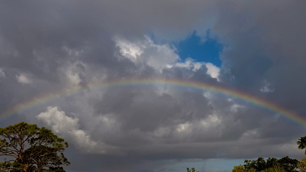 Viewer: Alyssa Wellens | Locations: Palm Bay