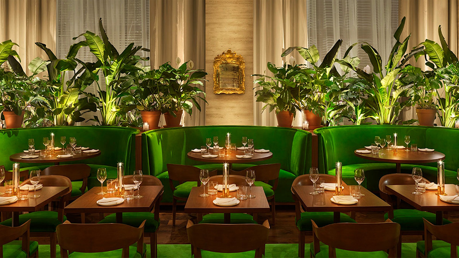  The interior of Lilac in Tampa.