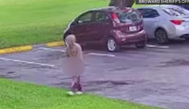 Broward deputies arrest teen in Weston assault and indecent exposure case caught on video