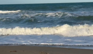 2 dead in Florida beach rip current: Active search for lifeguards underway