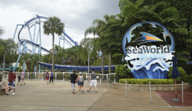 SeaWorld Orlando updating Expedition Odyssey less than a year after opening