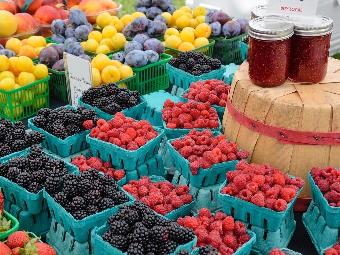 41 Events That Are Practically A Rite Of Spring In Tampa Bay