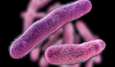 Drug-Resistant Stomach Bug On The Rise: What To Know In FL