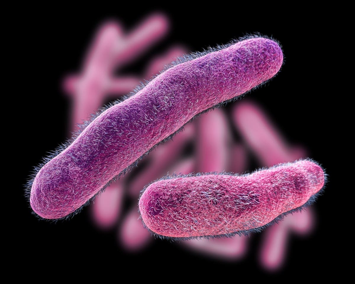 Drug-Resistant Stomach Bug On The Rise: What To Know In FL