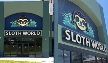 31 sloths died at Sloth World Orlando-owned warehouse: FWC reports