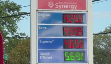 Rising gas prices are forcing South Florida residents to change their routines, here's what experts say can help