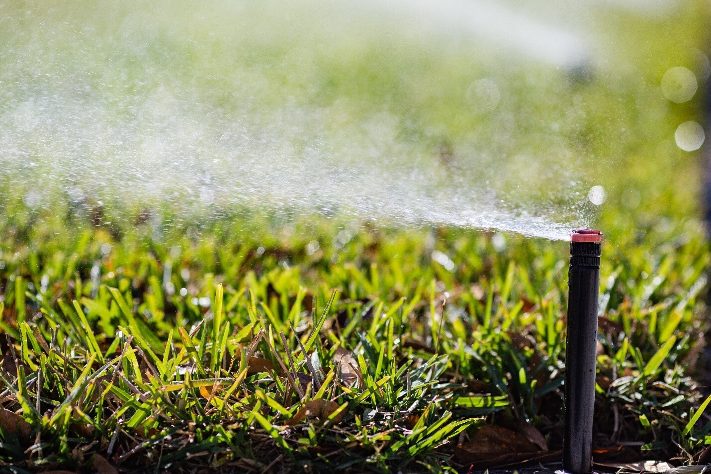 City of St. Petersburg Enforces Restrictions with Drought Alert for Water Shortage Effective April 3
