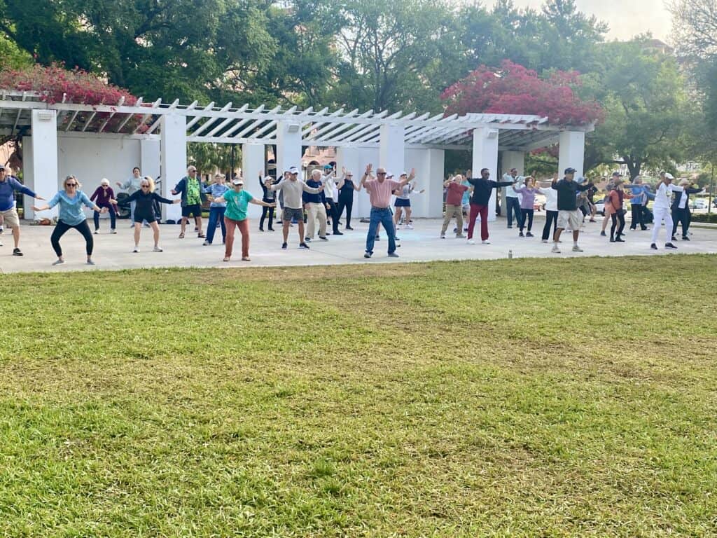 People doing tai chi in a park