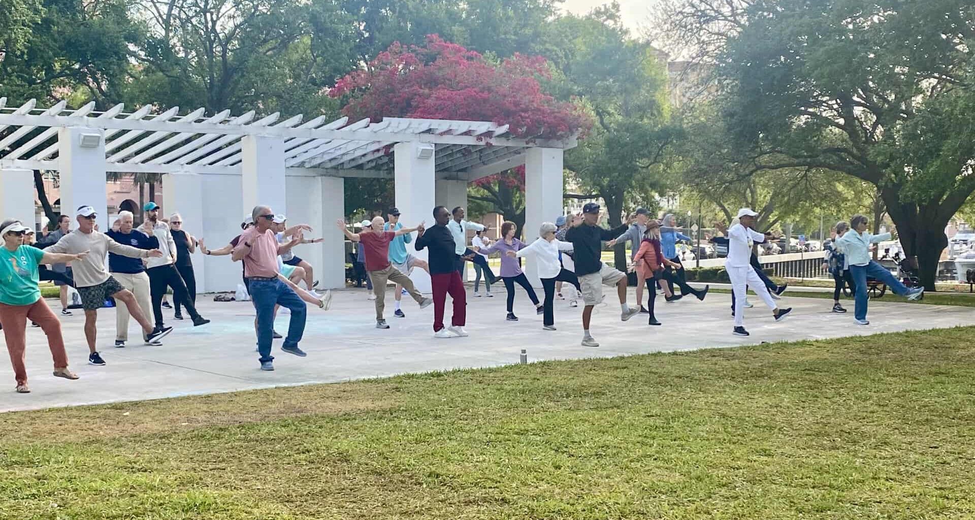 People doing tai chi in a park