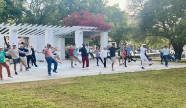 People doing tai chi in a park