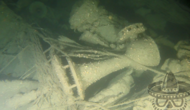 Divers find wreck of iconic U.S. ship torpedoed in WWI, killing 131 on board: "Their final resting place is known at last"