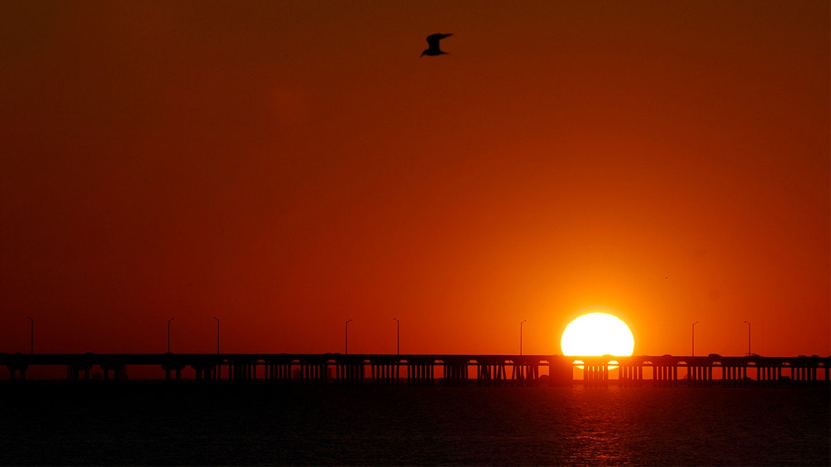 The sun rises over the Courtney Campbell Causeway