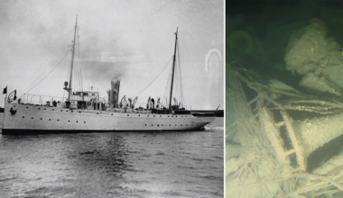 WWI Coast Guard Cutter Tampa wreck found by divers 106 years after sinking