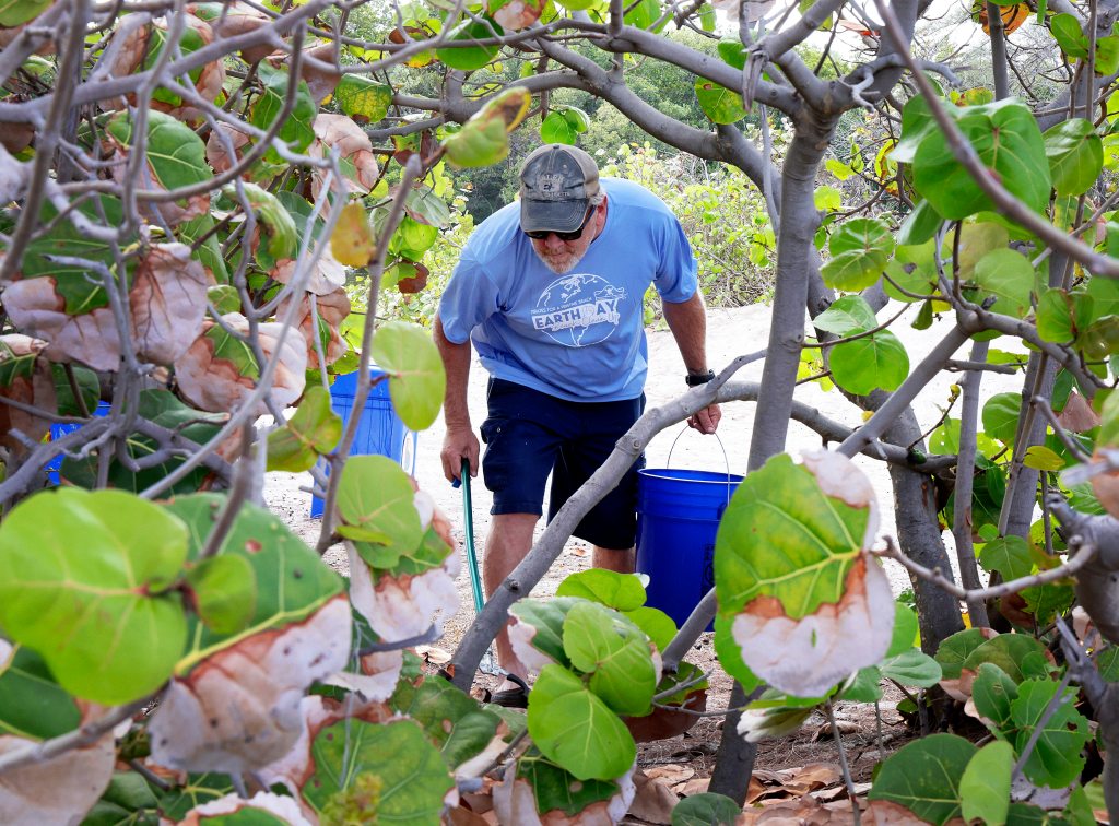 10 best ways to celebrate in South Florida