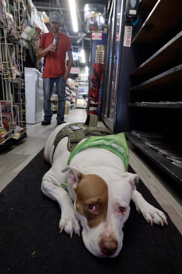 Danny Steiner and his dog, Bella Donna, visit Bob's News and Books on Andrews Avenue in Fort Lauderdale on March 27. (Mike Stocker/South Florida Sun Sentinel)
