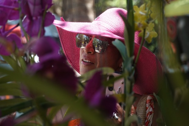 Karla Razuri check out blooms at the Bonnet House Museum and Gardens 16th Annual International Orchid and Garden Festival in Fort Lauderdale, Sunday, April 6, 2025. (Joe Cavaretta/South Florida Sun Sentinel)