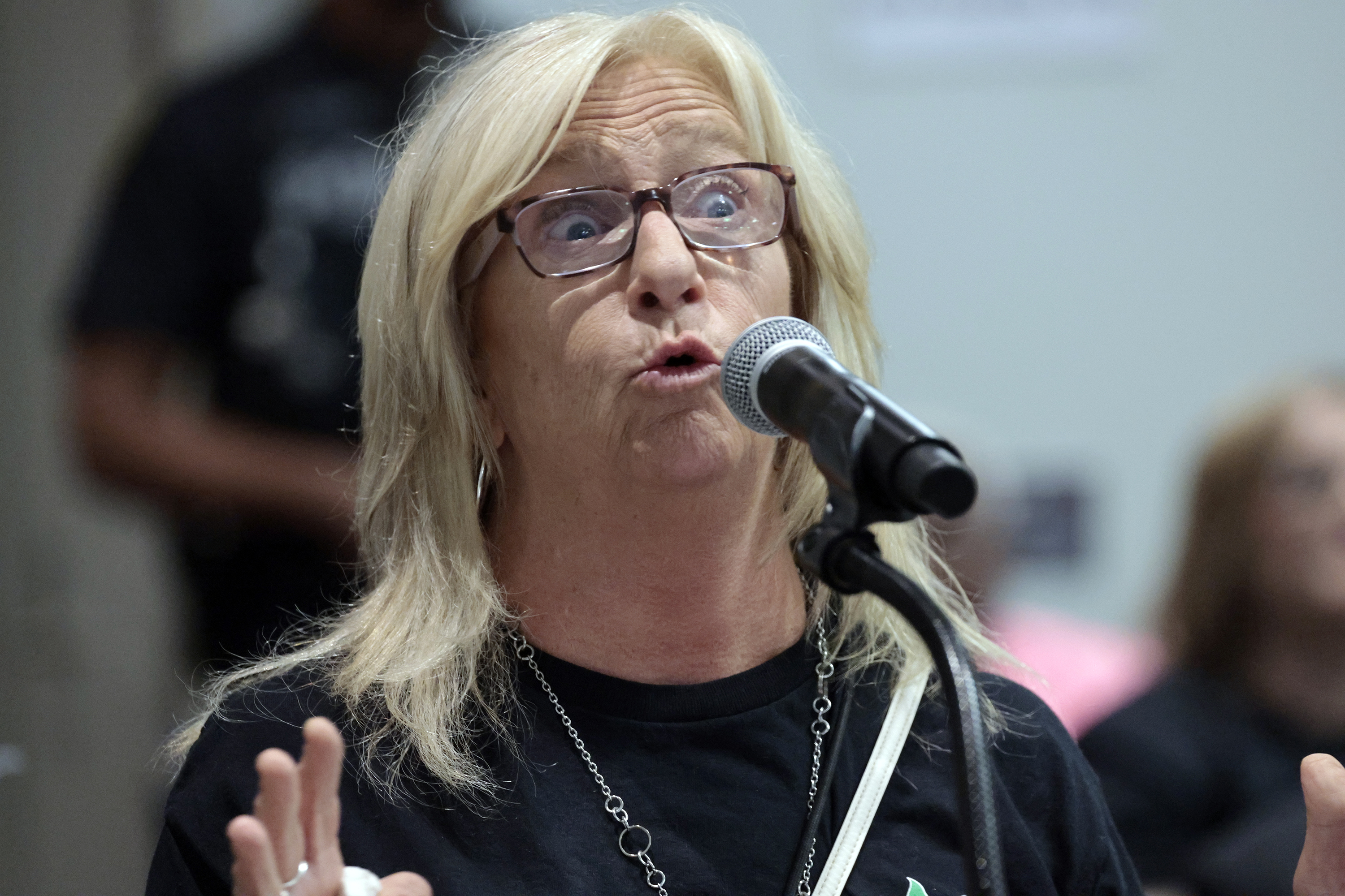 McNab Elementary School second-grade teacher Maureen McHugh, who noted she...