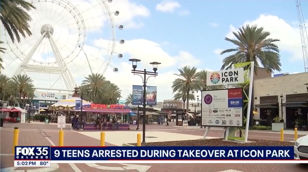 Daytime view of ICON Park in Orange County, Florida, with a Ferris wheel and palm trees, showing a news overlay stating "9 TEENS ARRESTED DURING TAKEOVER AT ICON PARK."