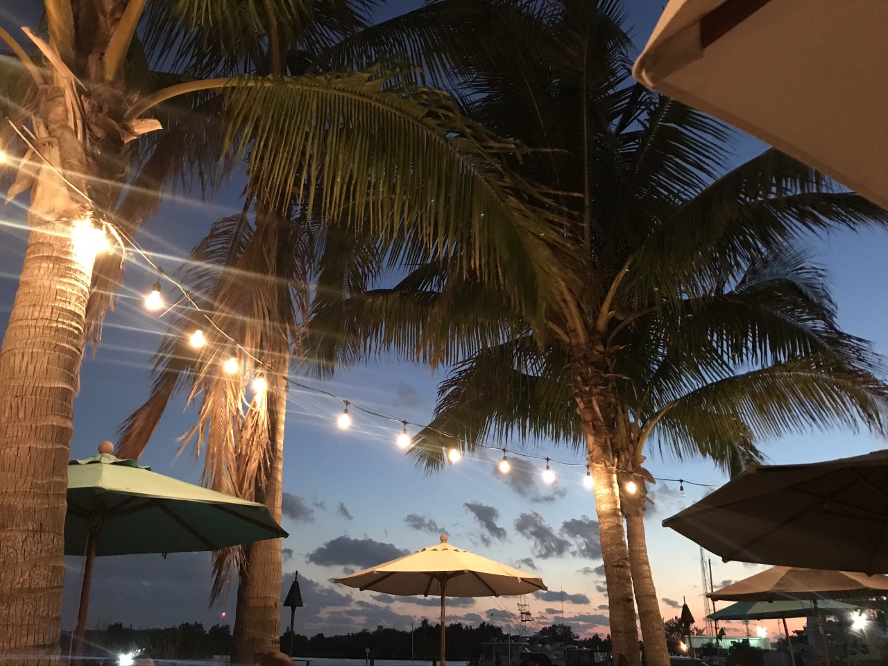 Family-Friendly Vacation Guide To St. Petersburg, Florida 