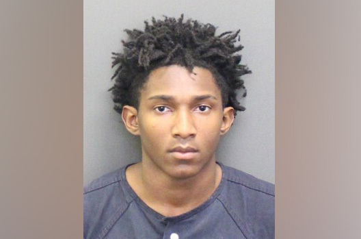 Orange teen accused of murder in hit-and-run pleads not guilty
