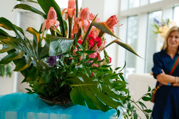 Linda Perez's arrangement is a bright centerpiece as to draws light from the gallery windows during Art in Bloom at the Orlando Museum of Art on Friday, April 10, 2026. (Rich Pope/Orlando Sentinel)