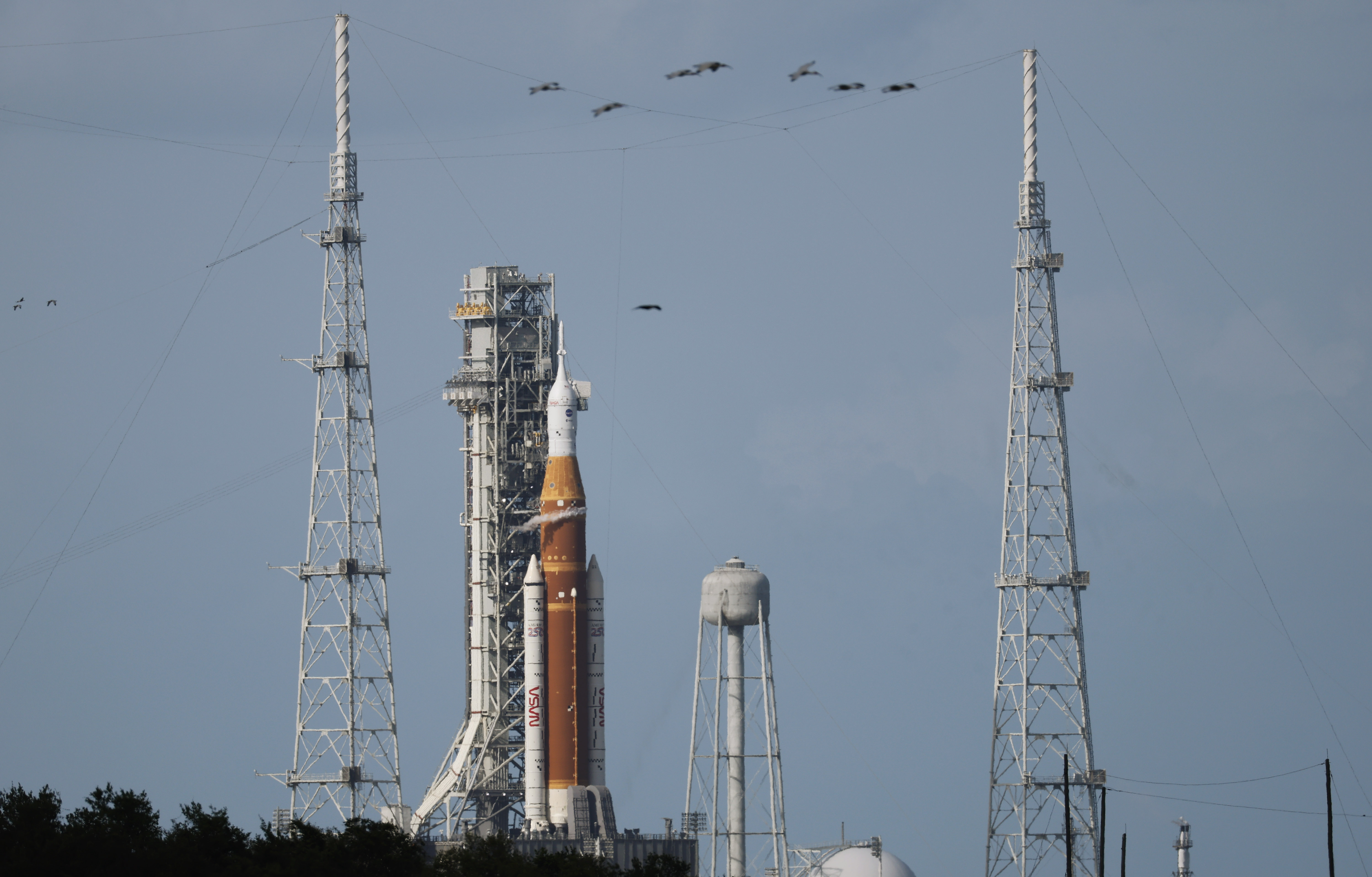 Birds fly past Artemis II before take off from Launch...