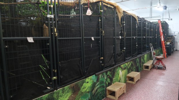 A photograph of a row of cages inside Sloth World's off-site warehouse was included in the Florida Fish and Wildlife Conservation Commission captive wildlife report on Aug. 7, 2025. (Courtesy Florida Fish and Wildlife Conservation Commission)