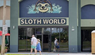 Sloth World will not open following dozens of animal deaths: report