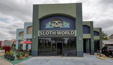 Animal deaths at planned Sloth World on I-Drive under scrutiny