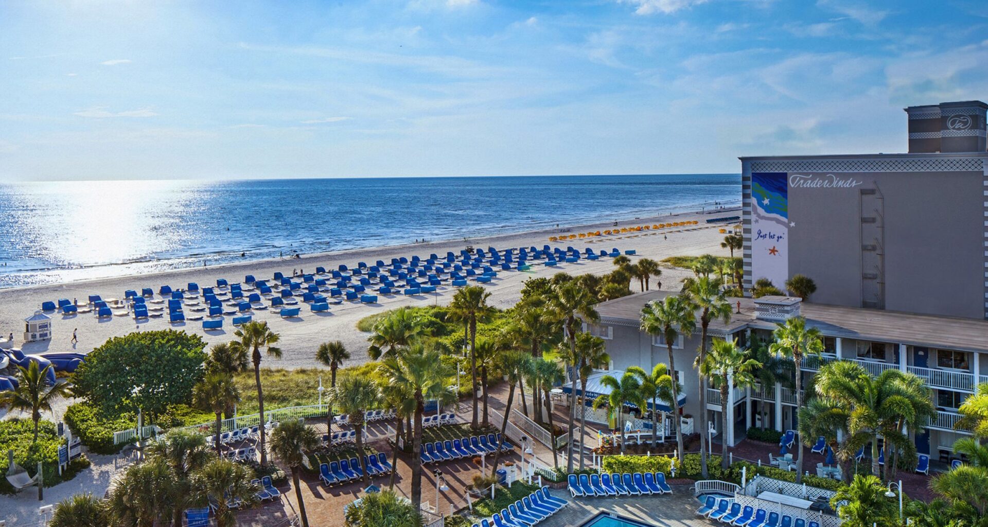 Country Thunder is no friend of sea turtles, or following protocol