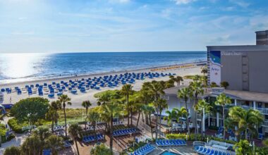 Country Thunder is no friend of sea turtles, or following protocol