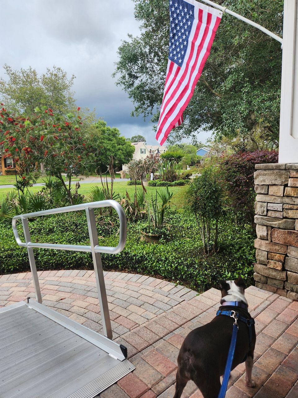 Viewer: Ruth Anderson | Location: Osceola County