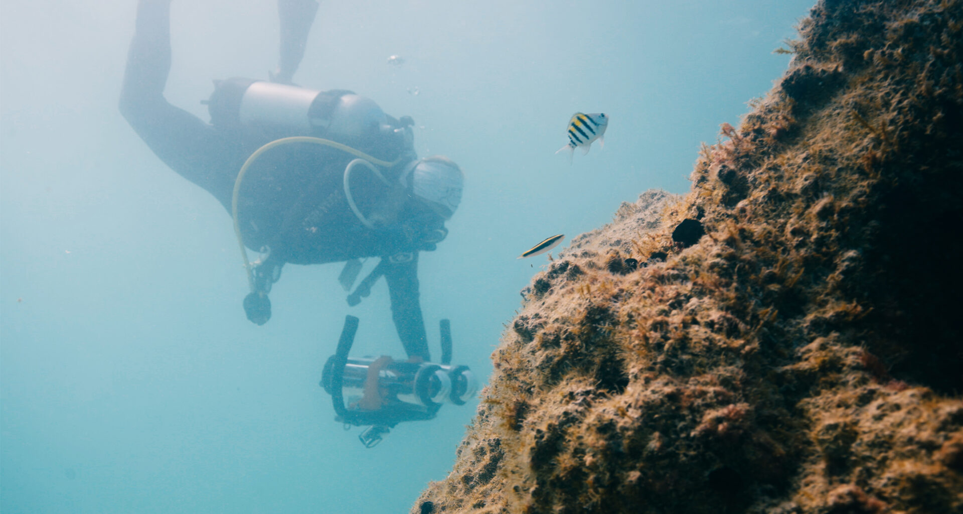 Underwater robots assist in restoring Florida’s coral reefs 