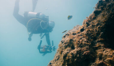 Underwater robots assist in restoring Florida’s coral reefs 