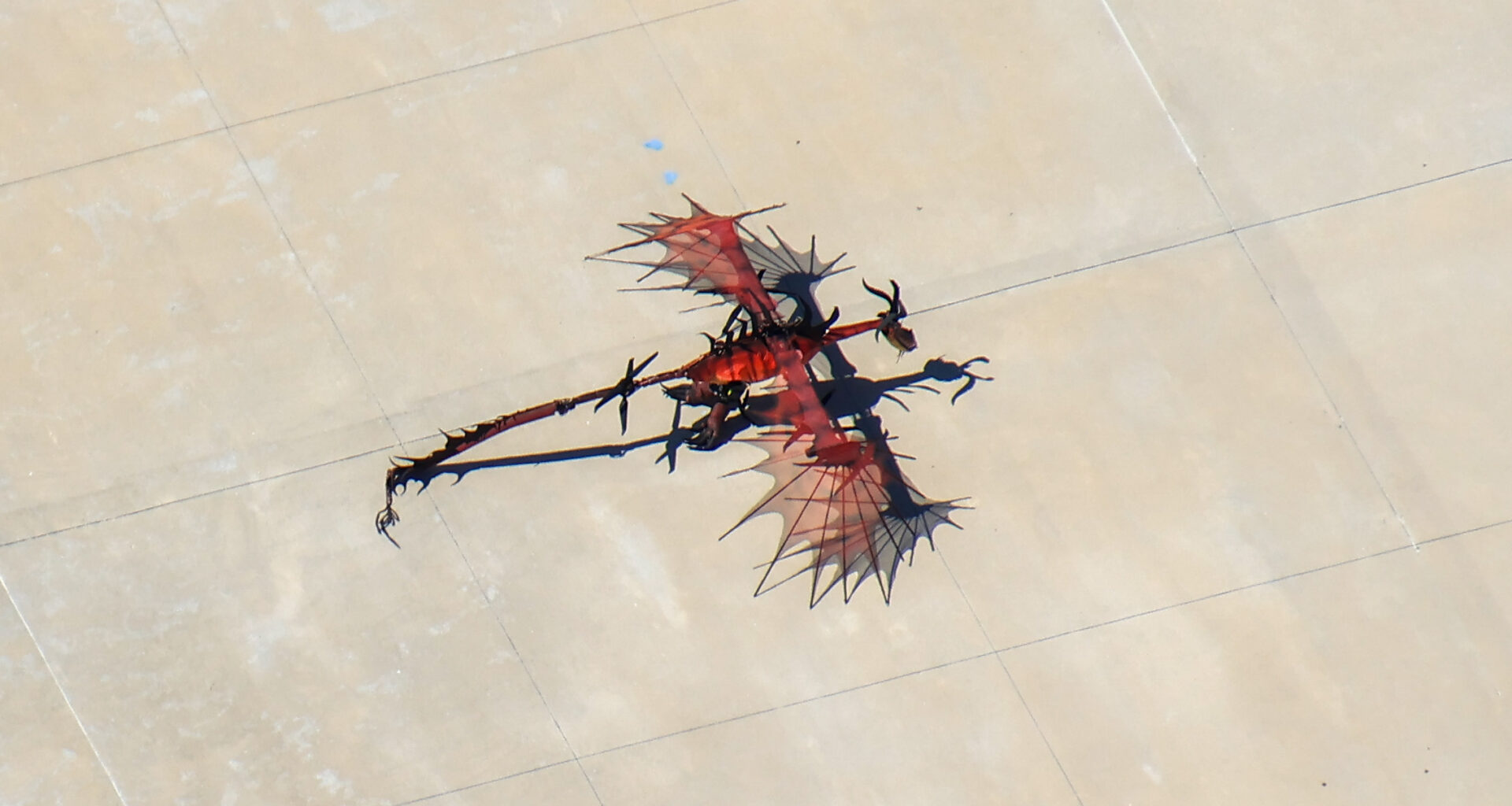 Flying Dragon Drones Spotted Backstage at Epic Universe