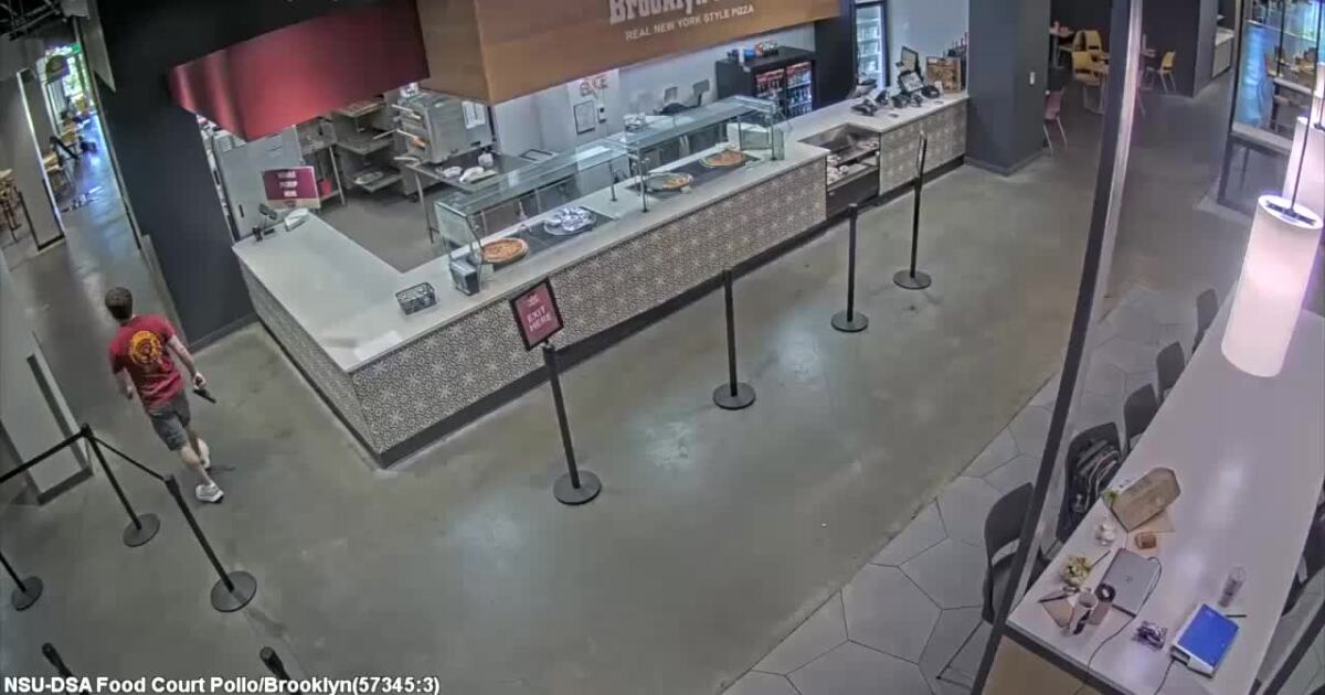 New video and 911 calls released in the Florida State University shooting