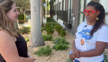 St. Pete leaders release Historic Gas Plant redevelopment timeline and details