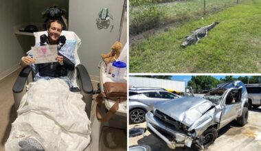 Florida woman survives rollover crash after hitting 9-foot gator