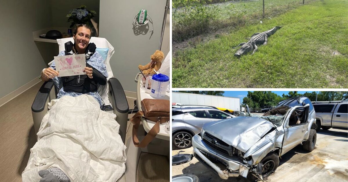 Florida woman survives rollover crash after hitting 9-foot gator