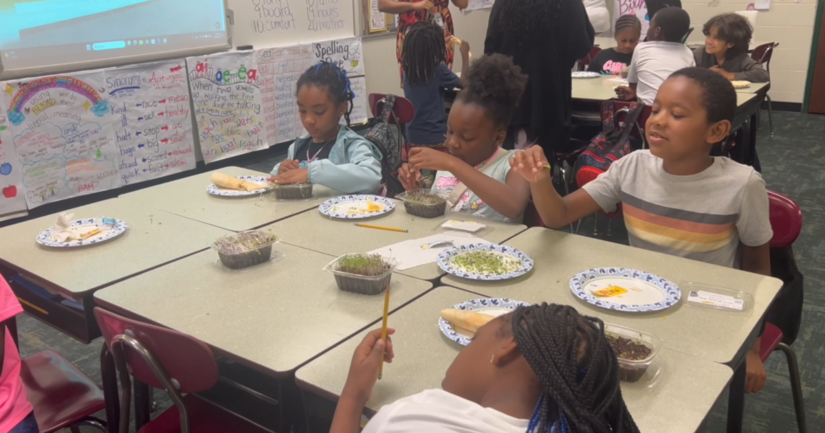 Students at Bond Elementary learn to grow their own food using micro-greens