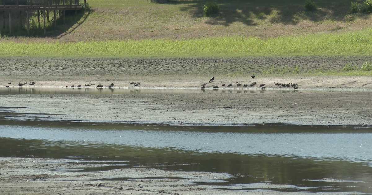 Drought dries up Tallahassee lakes, but experts see ecosystem benefits