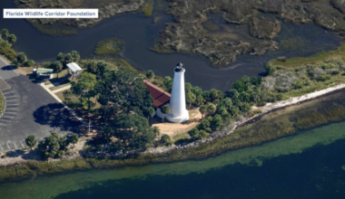 100-mile expedition aims to protect Florida Wildlife Corridor